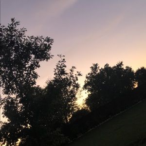 Meet your Posher, Liliana